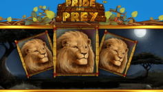 Pride and Prey slot